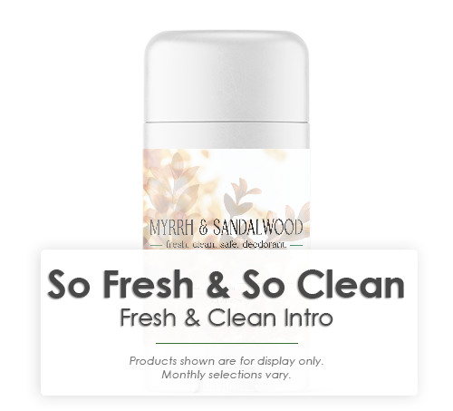 So Fresh & So Clean Club Intro