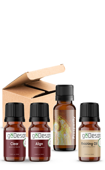 Prosperity Challenge Gift Box